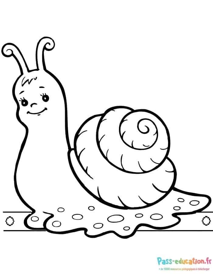 Escargot souriant