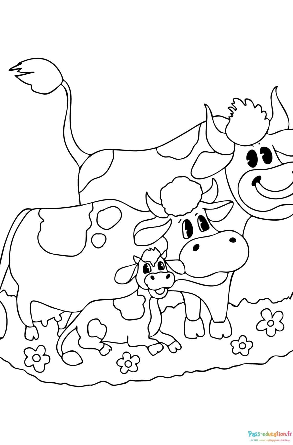 Famille vache