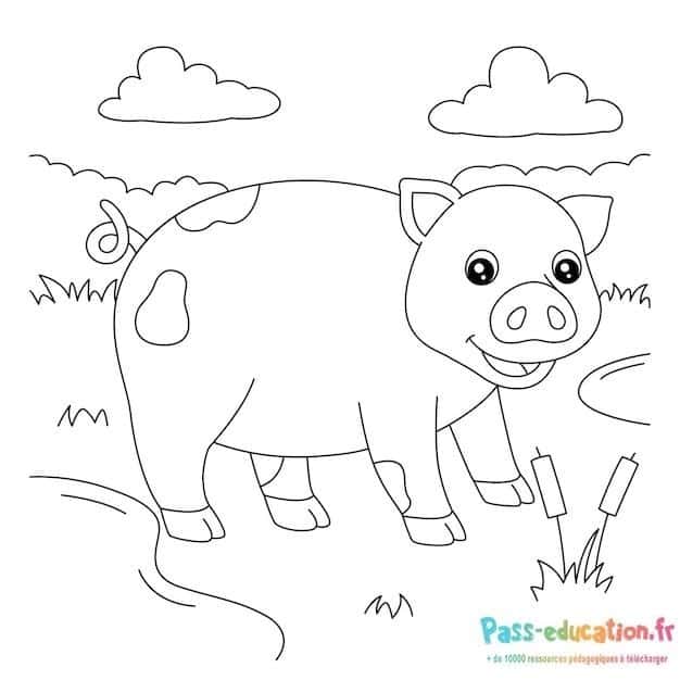 Coloriage gratuit petit cochon à imprimer