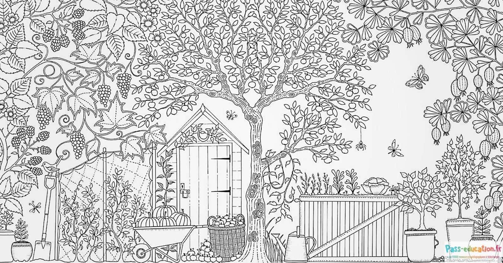 Coloriage jardin secret gratuit à imprimer