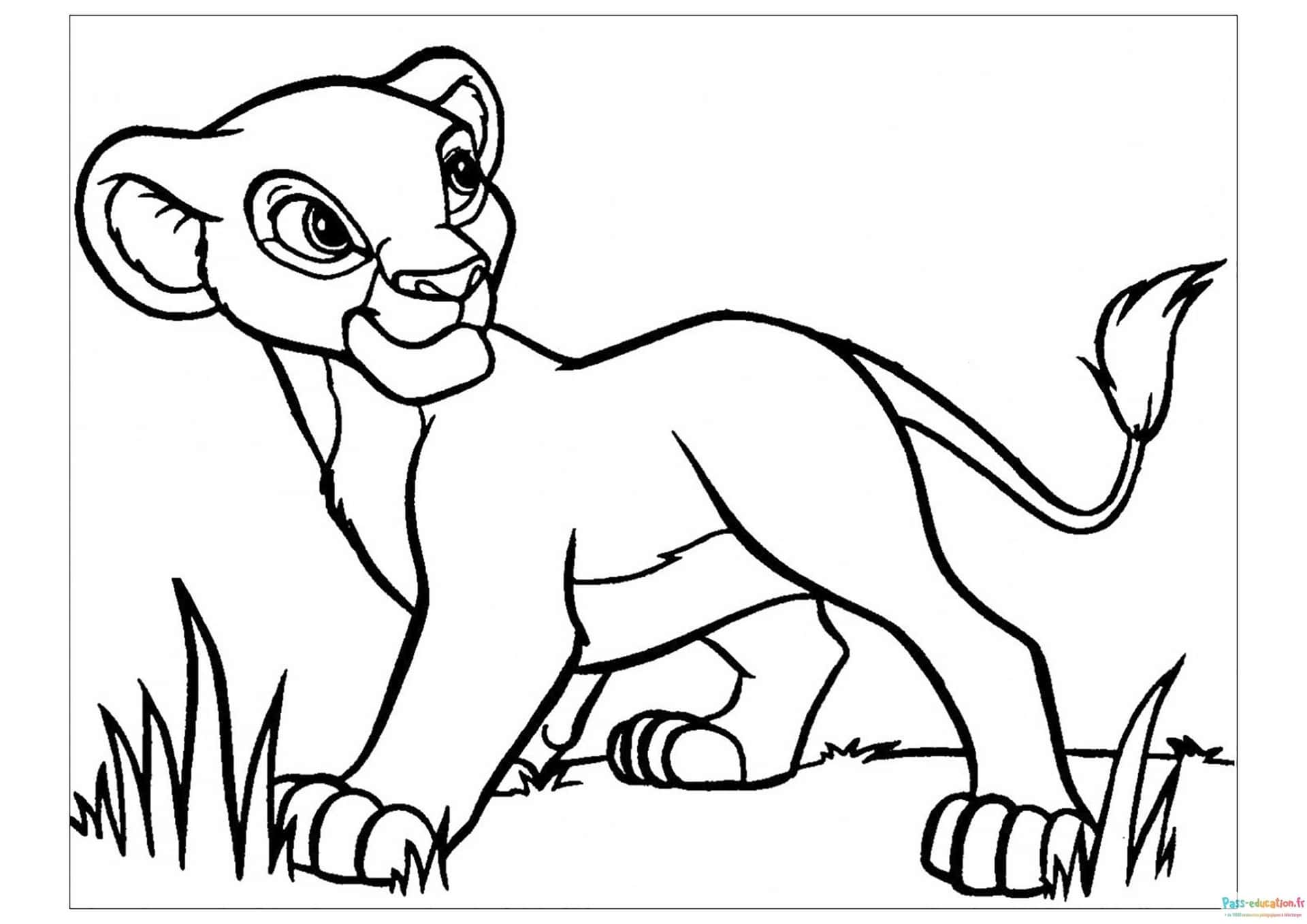 Coloriage lion en promenade gratuit à imprimer