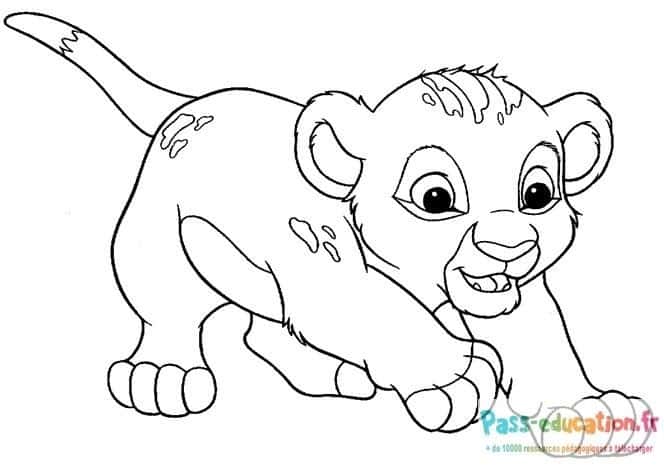 Coloriage lionceau gratuit à imprimer