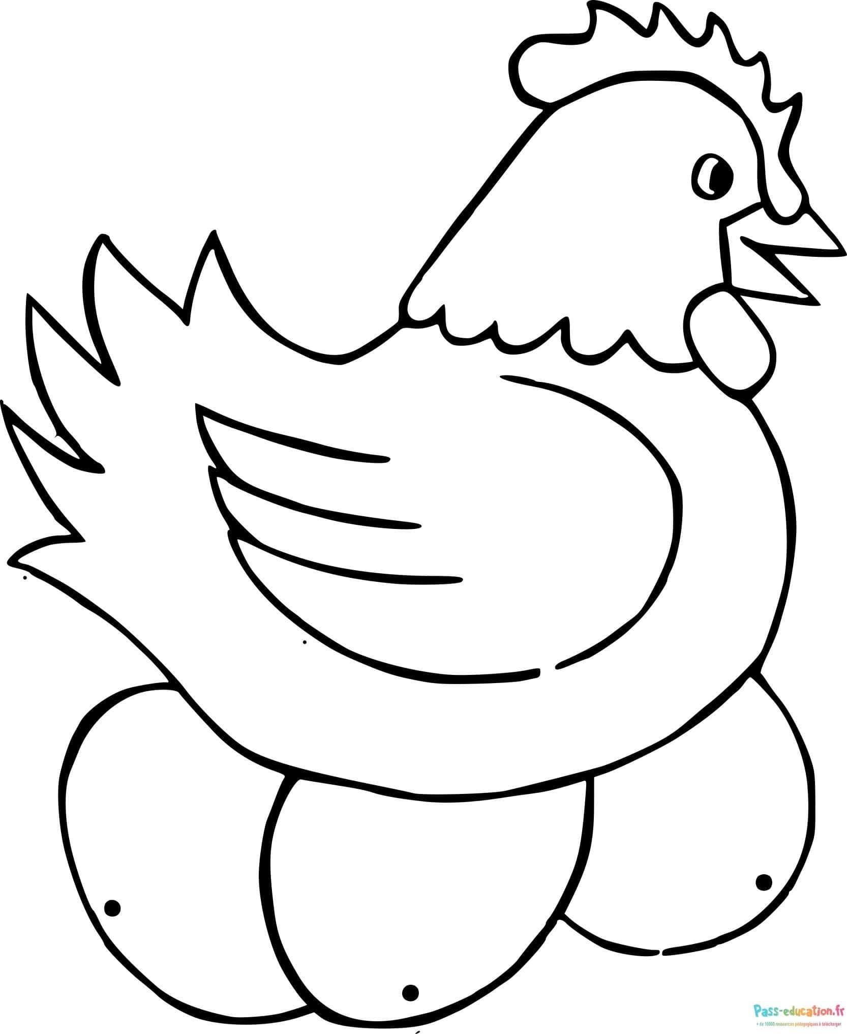 Poule sur œufs