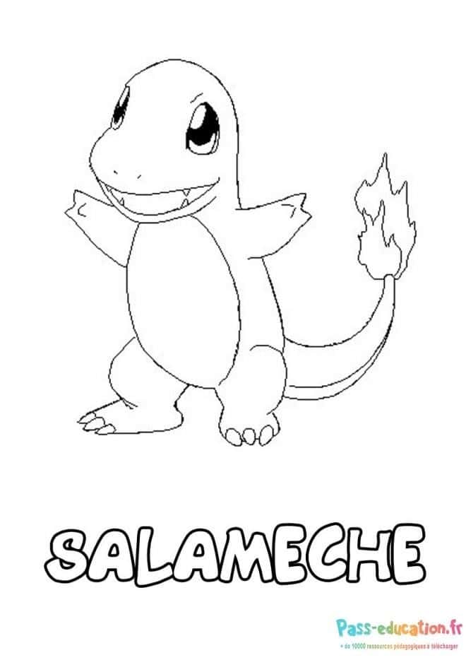 Salamèche Pokémon