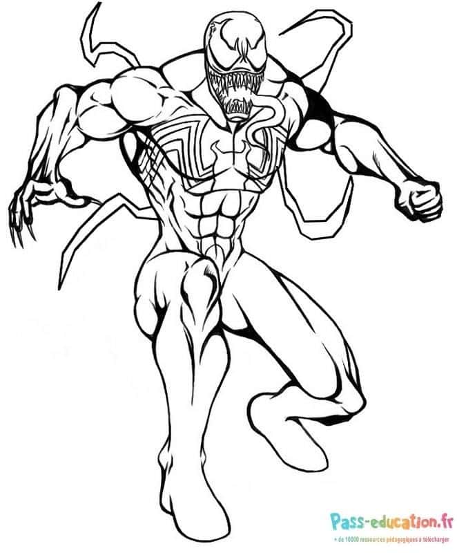 Super-héros symbiote