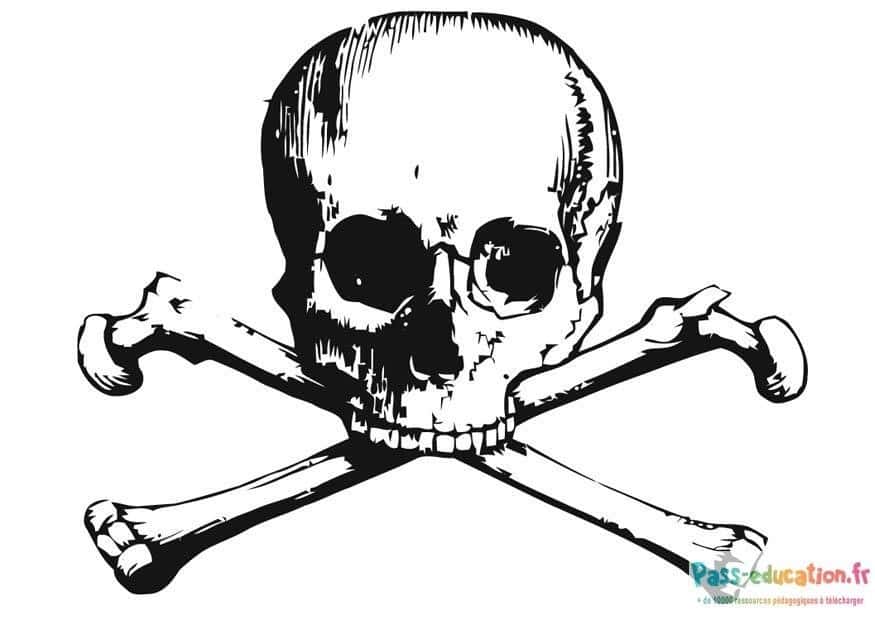 Coloriage tête de mort pirate gratuit à imprimer