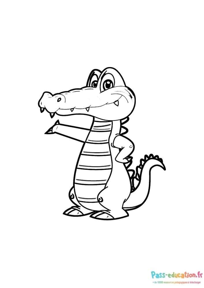 Crocodile rayé