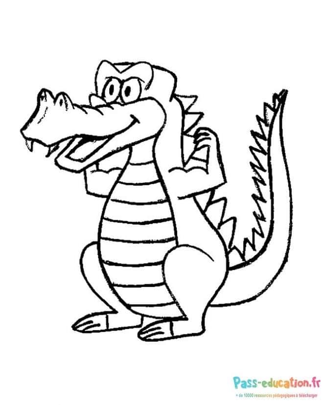 Crocodile souriant