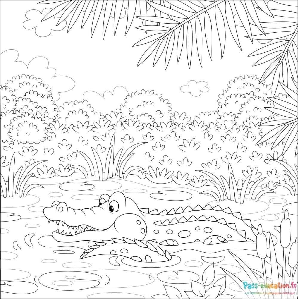 Crocodile dans l'eau