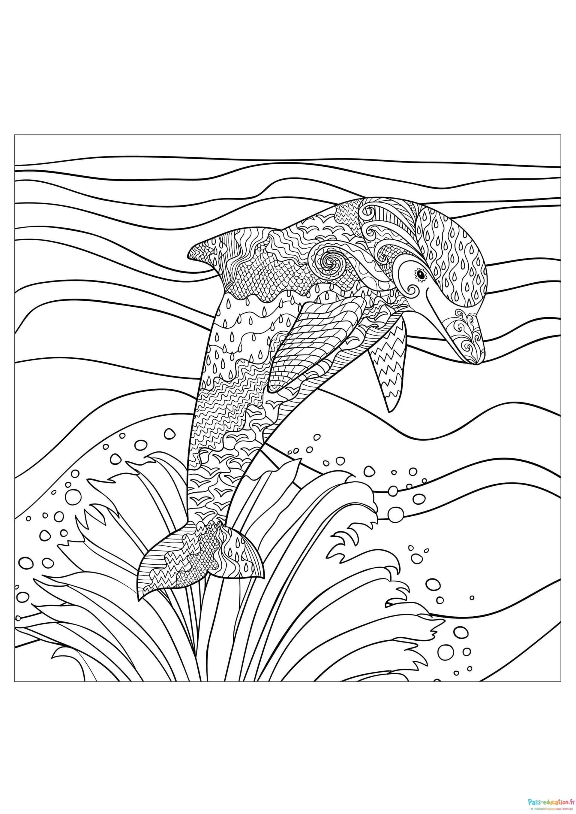 Dauphin en Zentangle