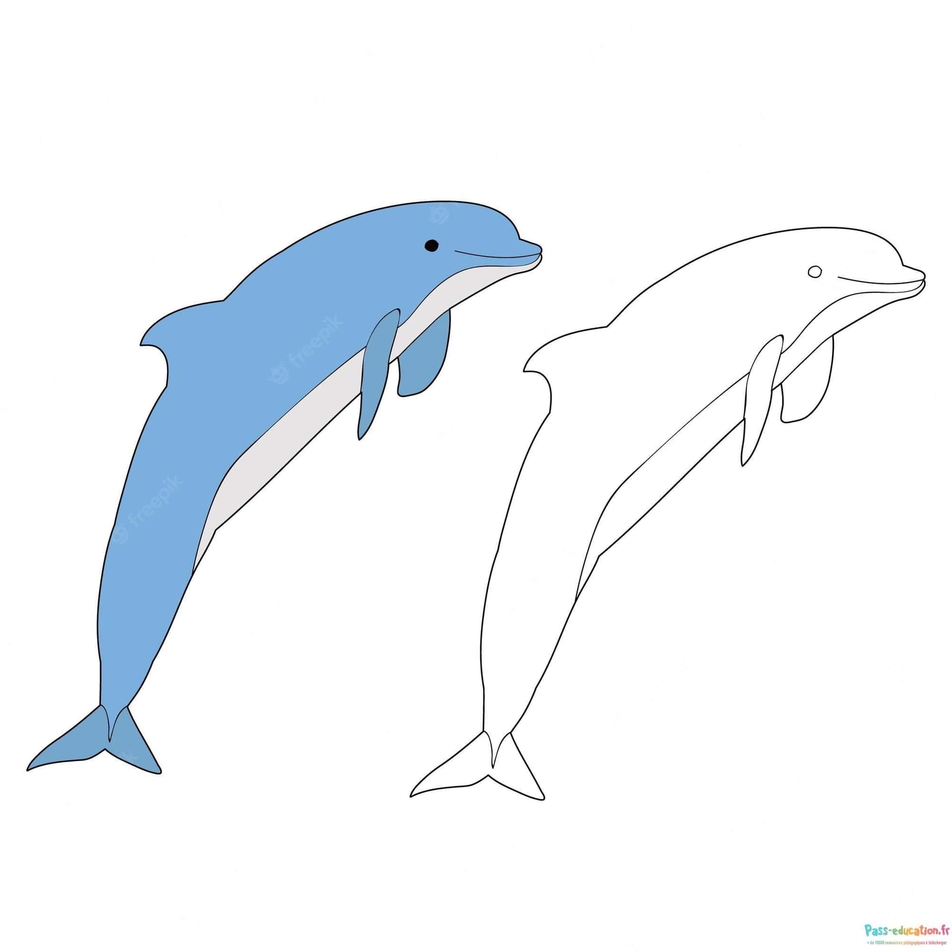 Dauphins joyeux