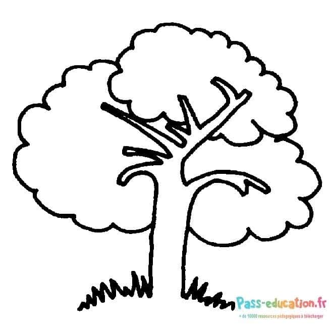 Dessin arbre simple gratuit à imprimer