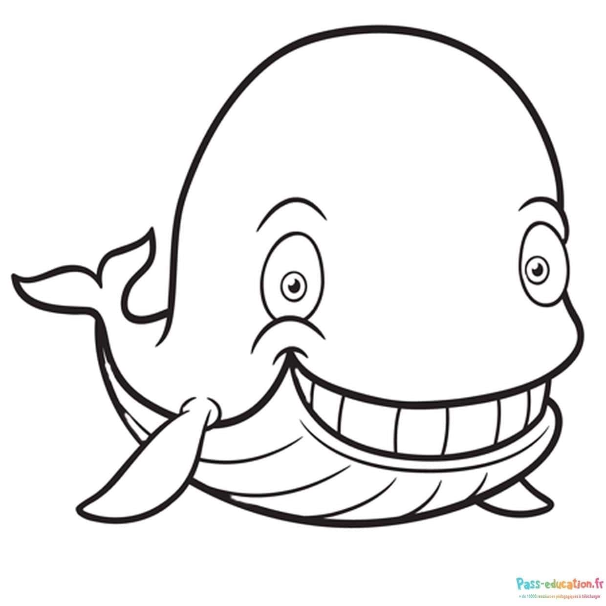 Baleine souriante