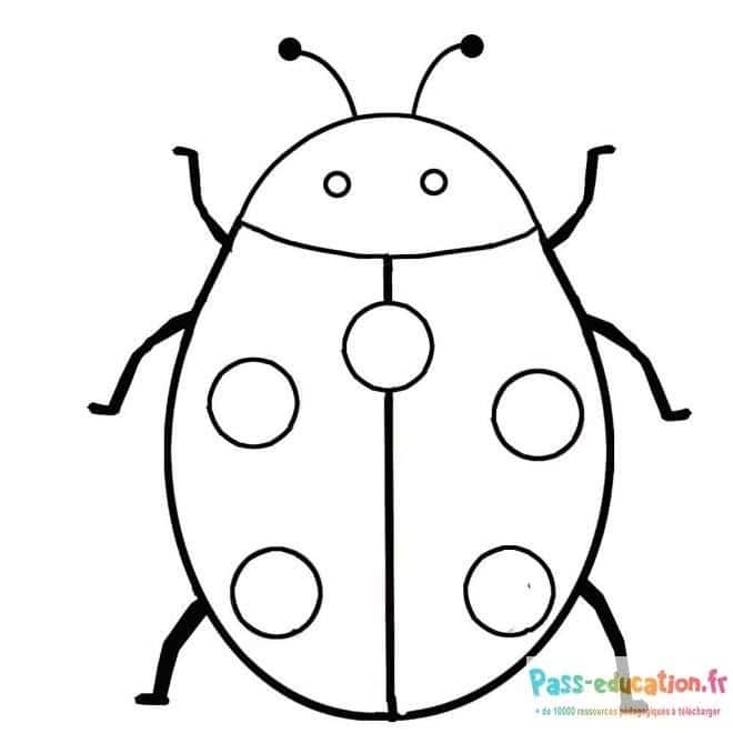 Coccinelle dessin simple