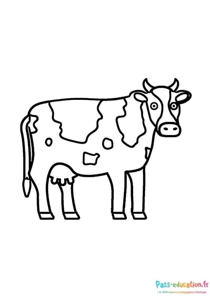 Vache dessin simple