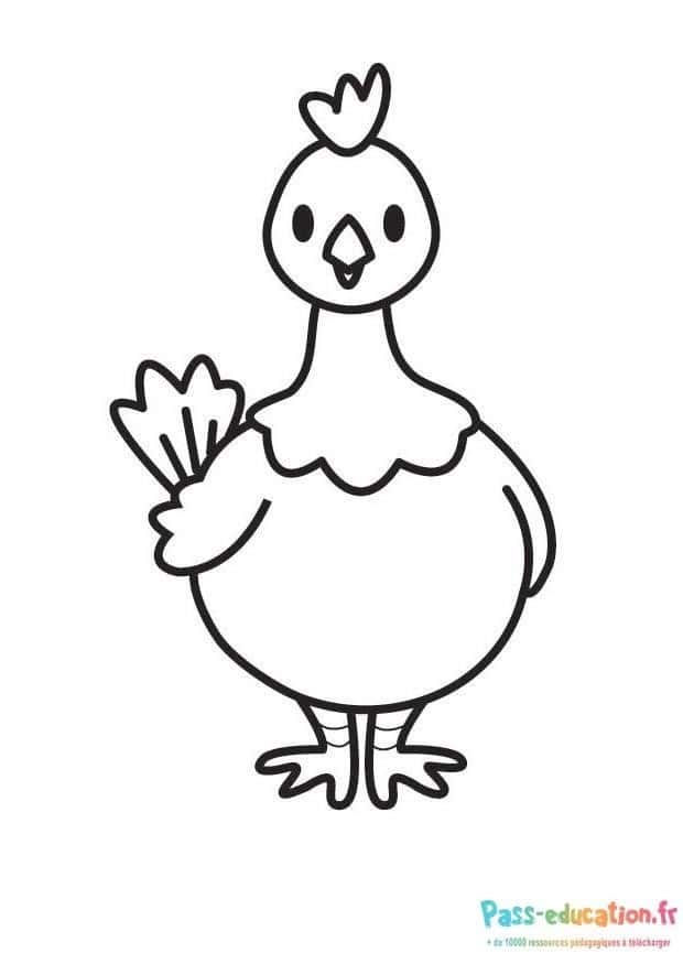 Poule dessinée