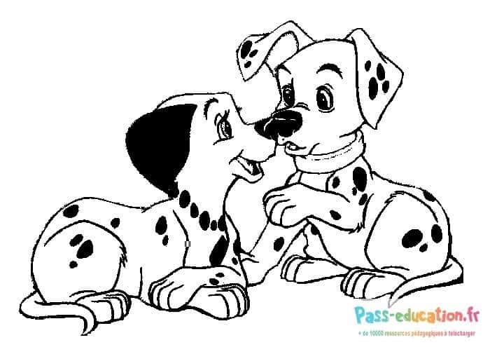 Deux dalmatiens amicaux