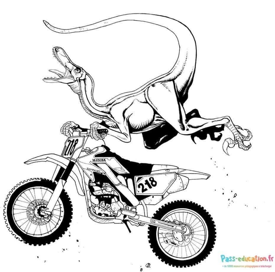 Dinosaure en moto