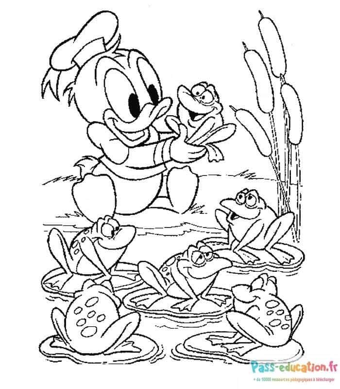 Donald et grenouilles