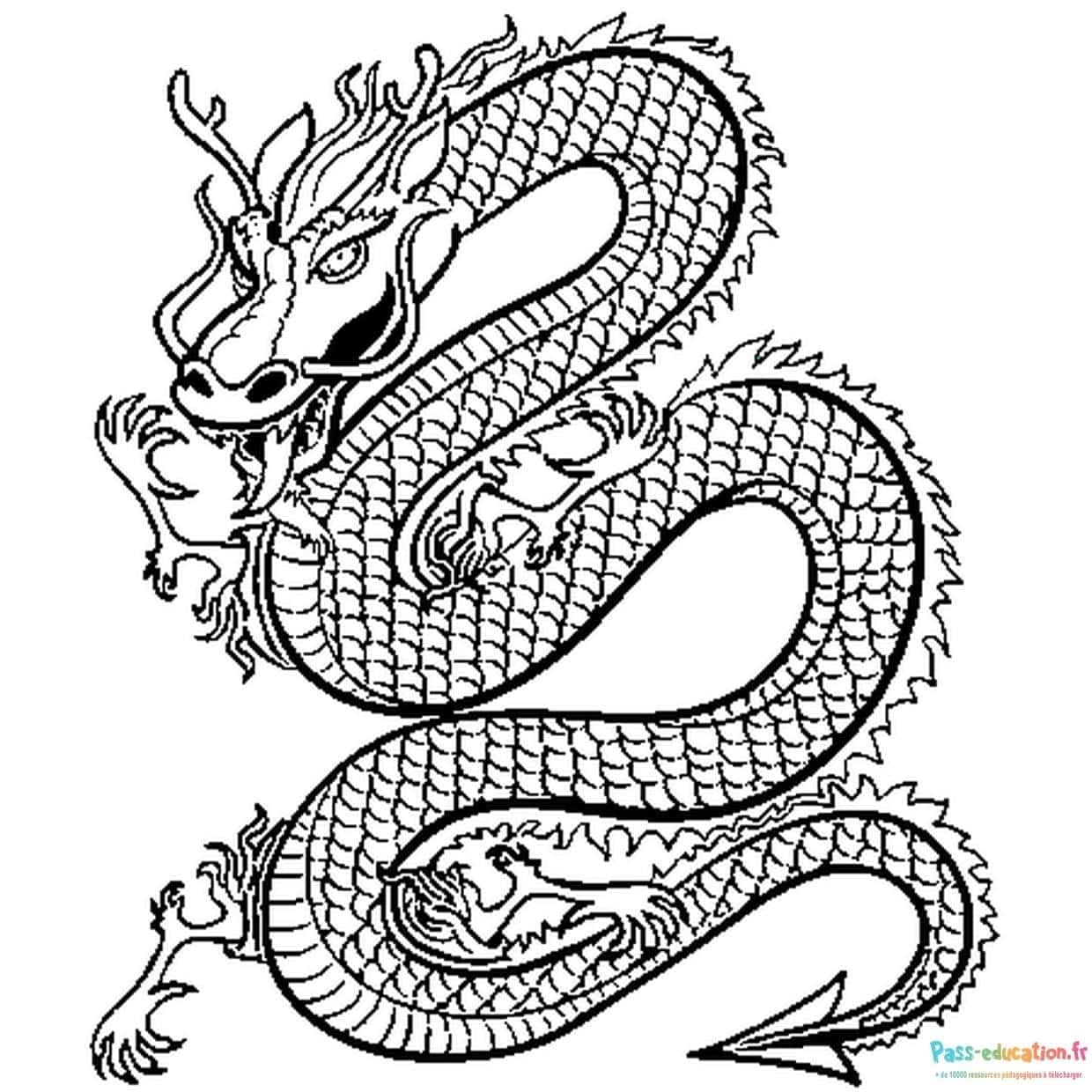 Dragon chinois