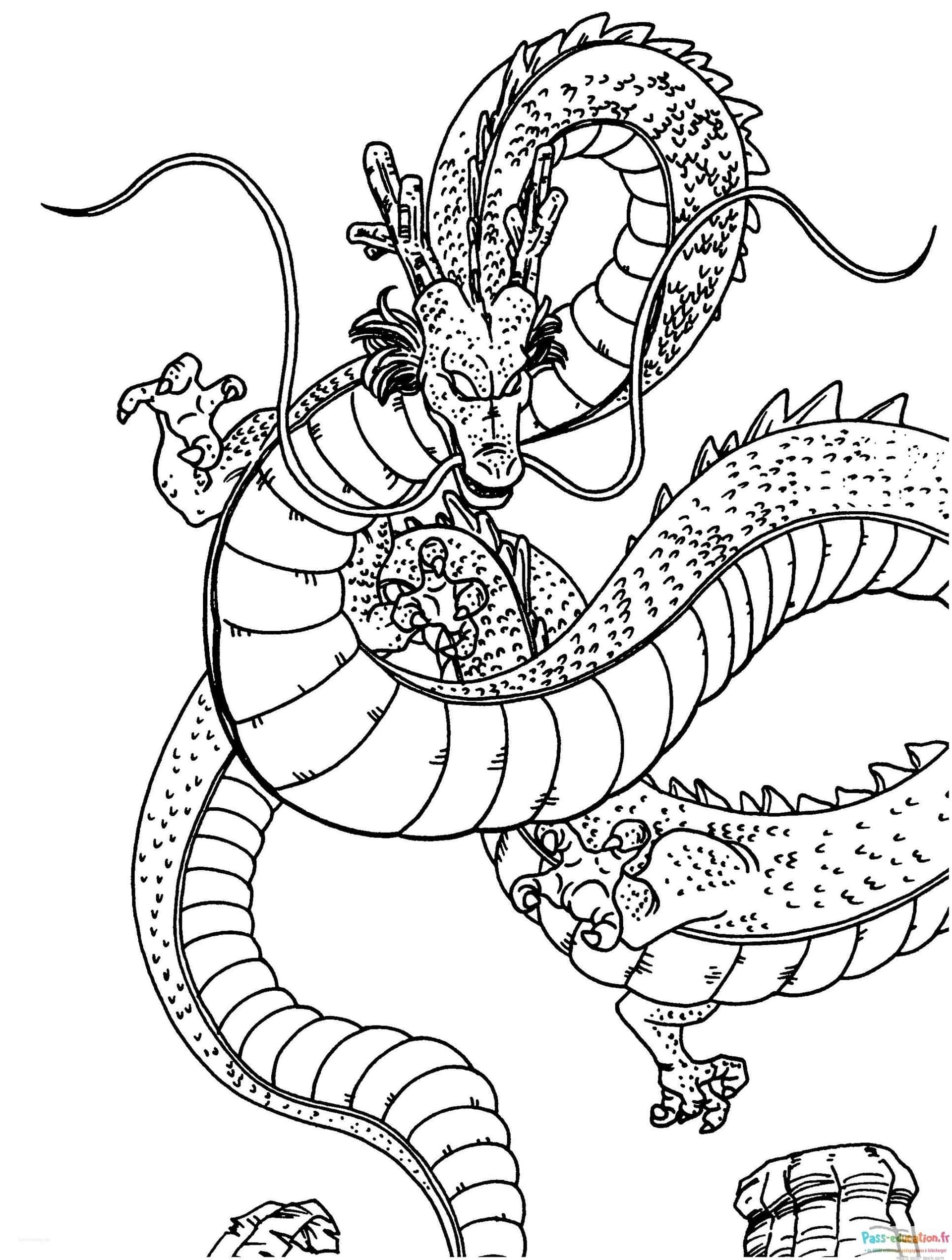 Dragon Shenron