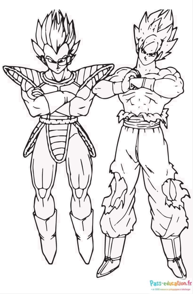 Vegeta contre Goku