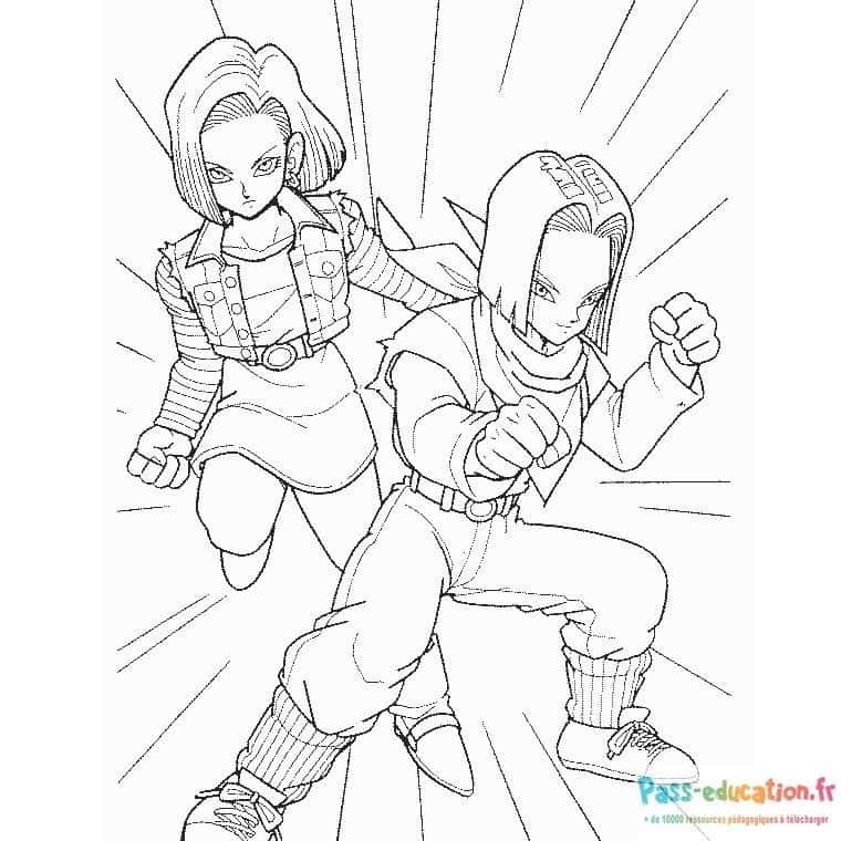 Duo de Saiyans