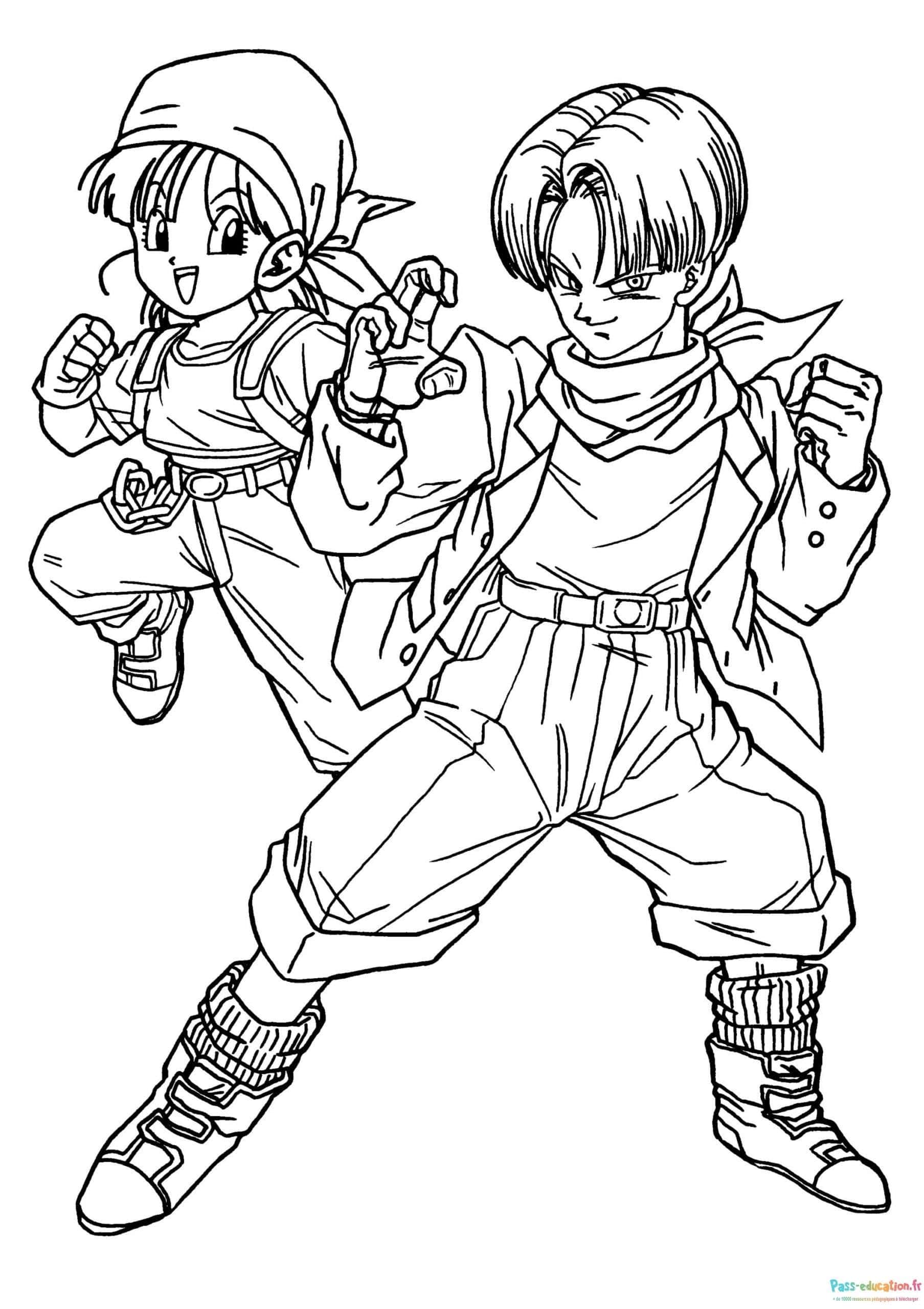 Duo Dragon Ball Z