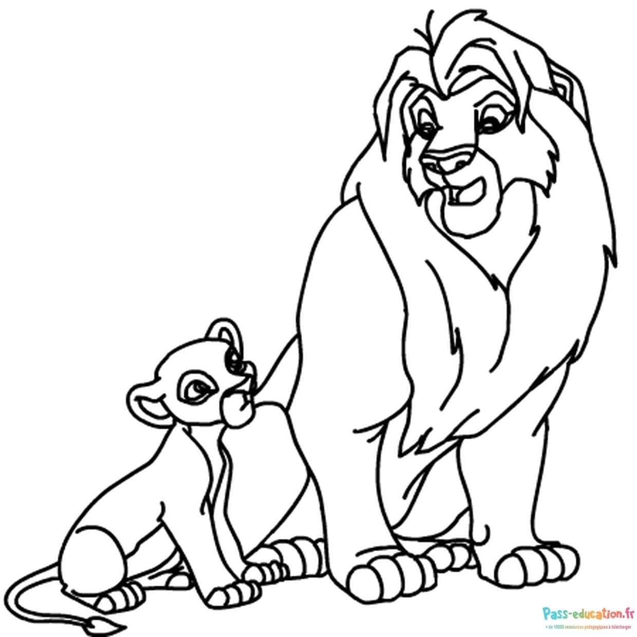 Duo lionceau et lion