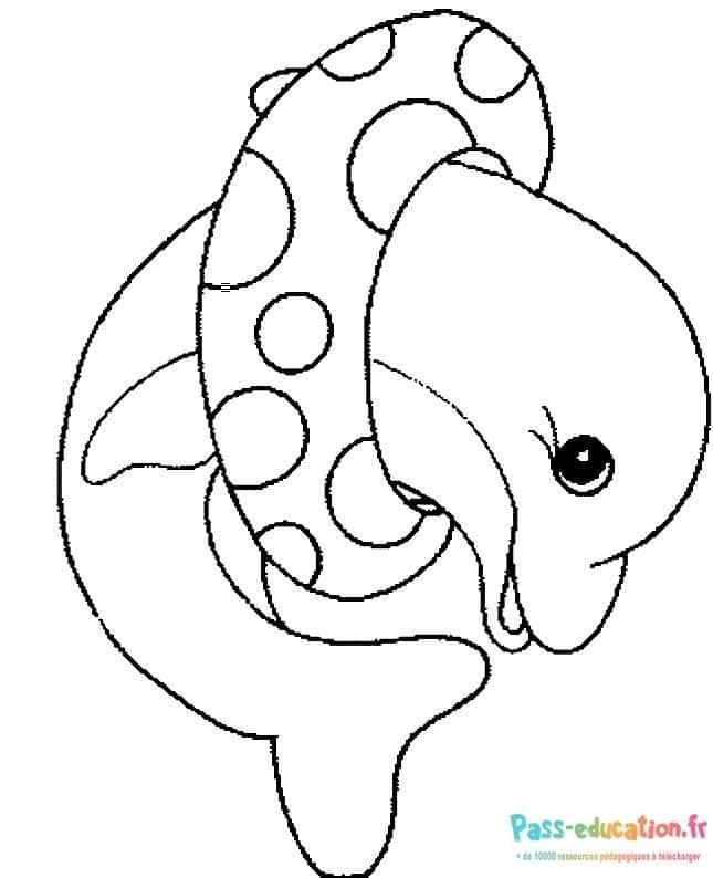 Dessin éléphant et tentacule