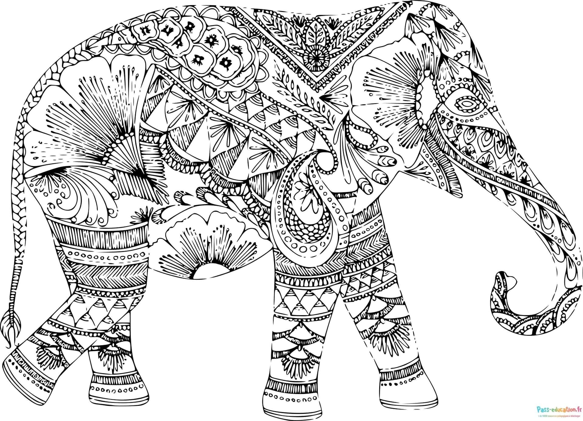 Éléphant mandala