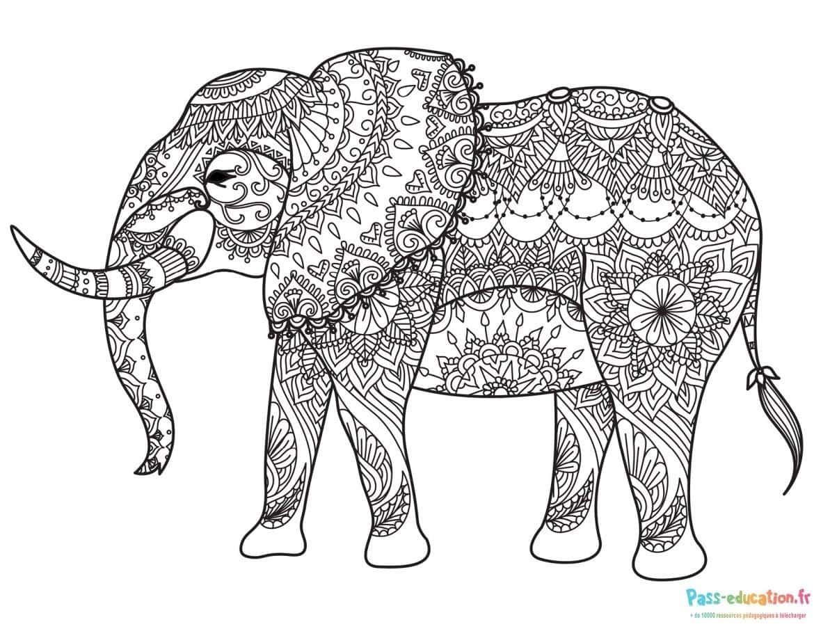 Éléphant mandala