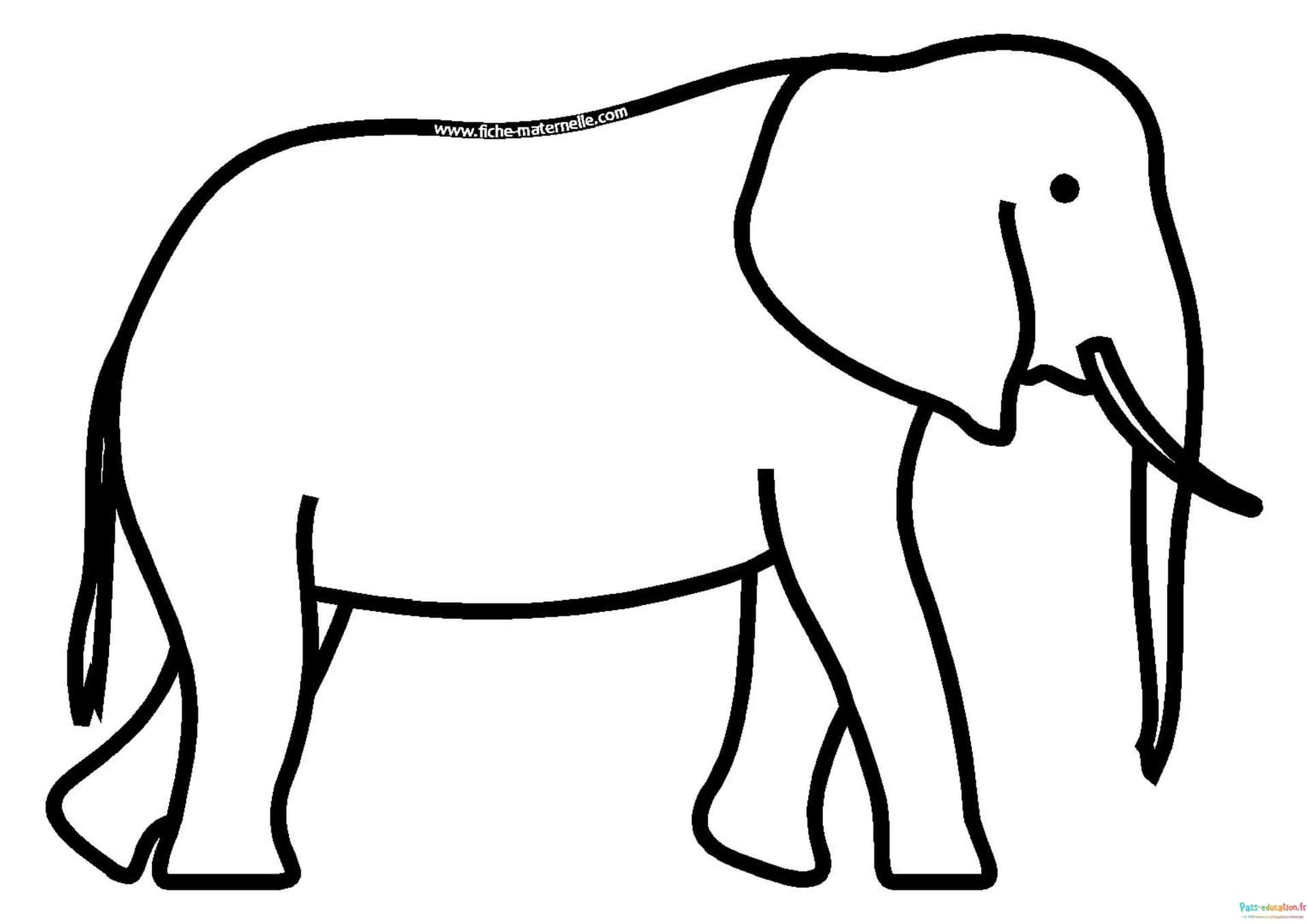 Dessin éléphant