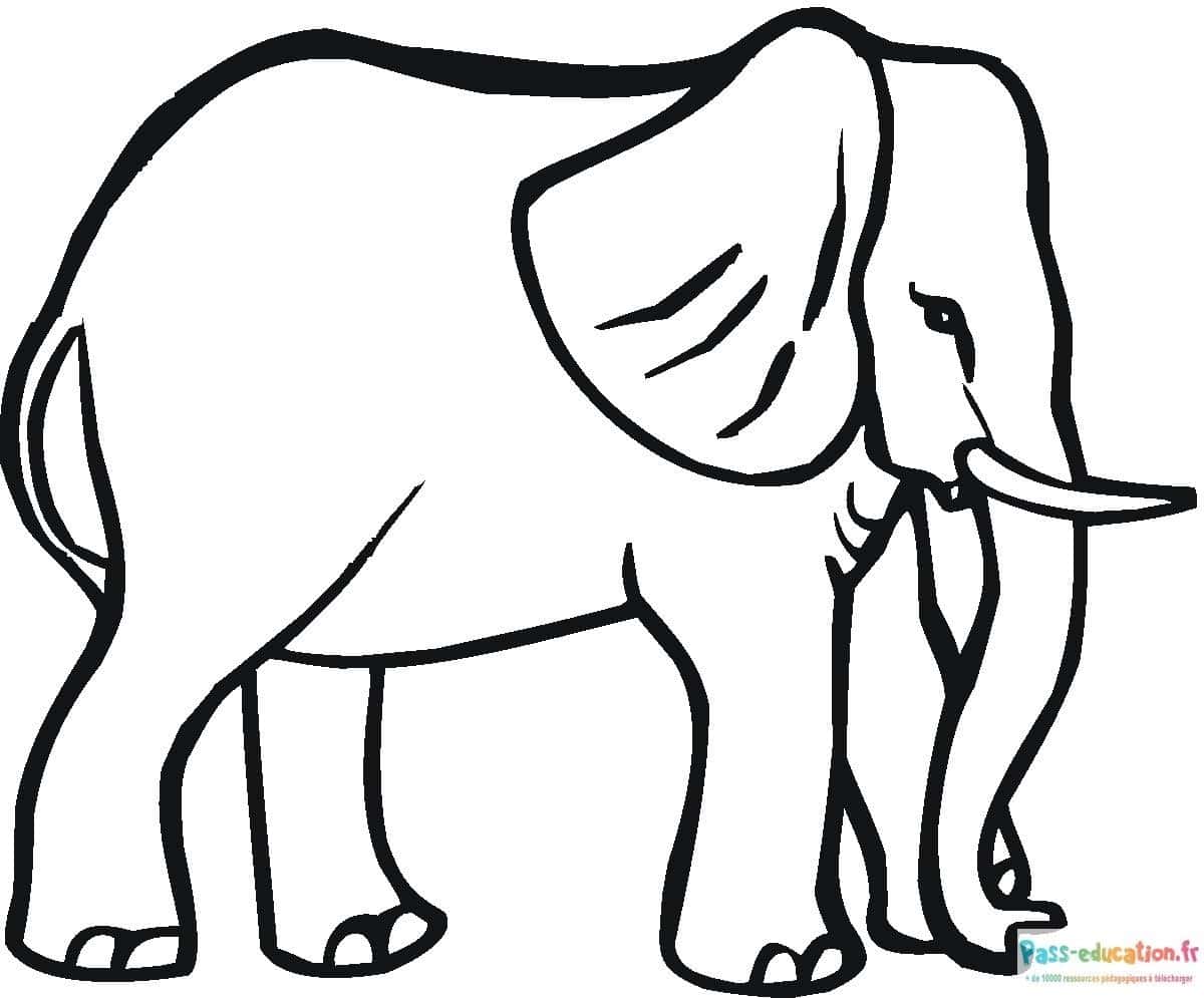 Éléphant