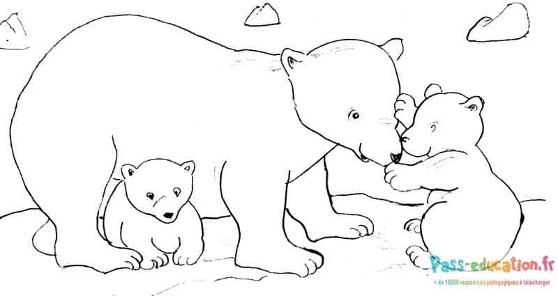 Famille ours polaire