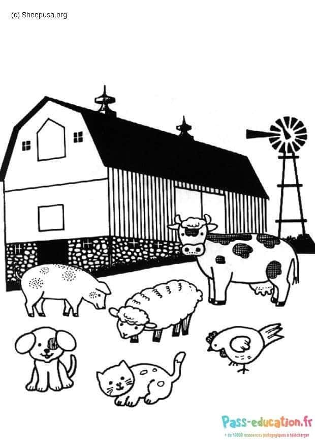 Ferme animée