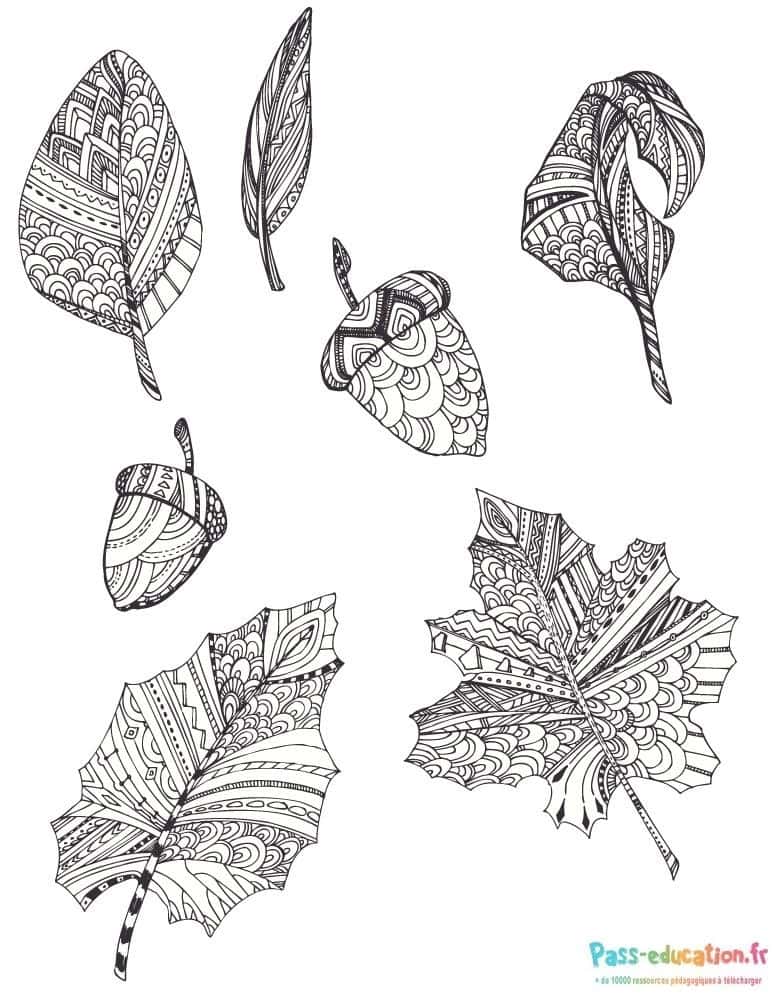 Feuilles Zentangle