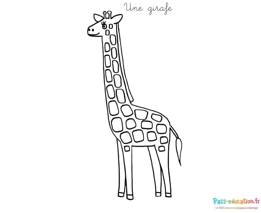 Girafe stylisée