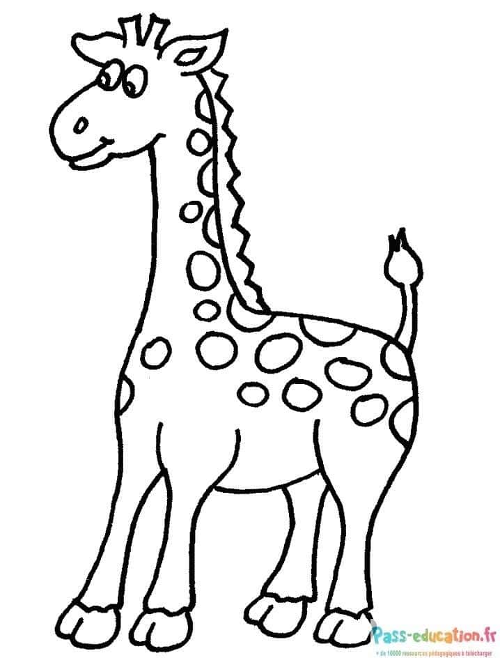 Girafe joyeuse