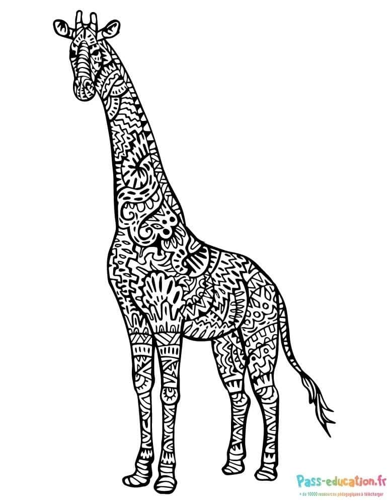 Girafe mandala