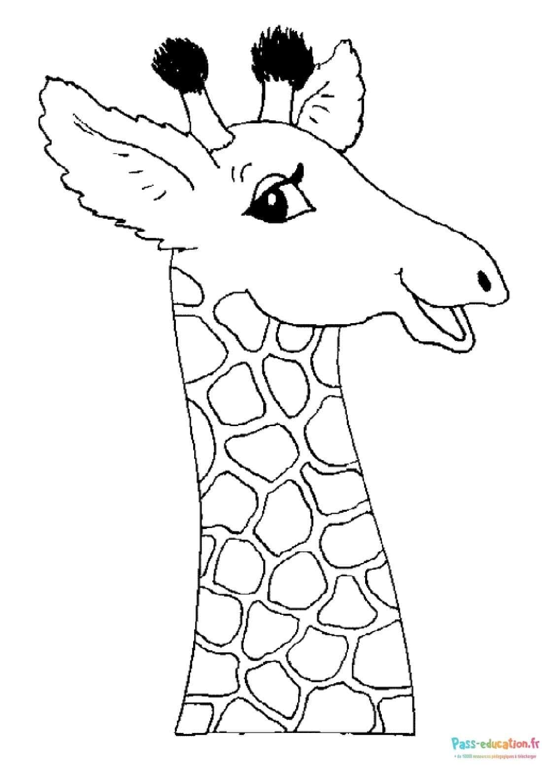 Girafe souriante