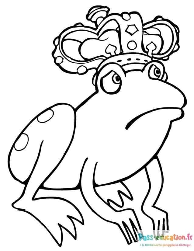 Grenouille royale