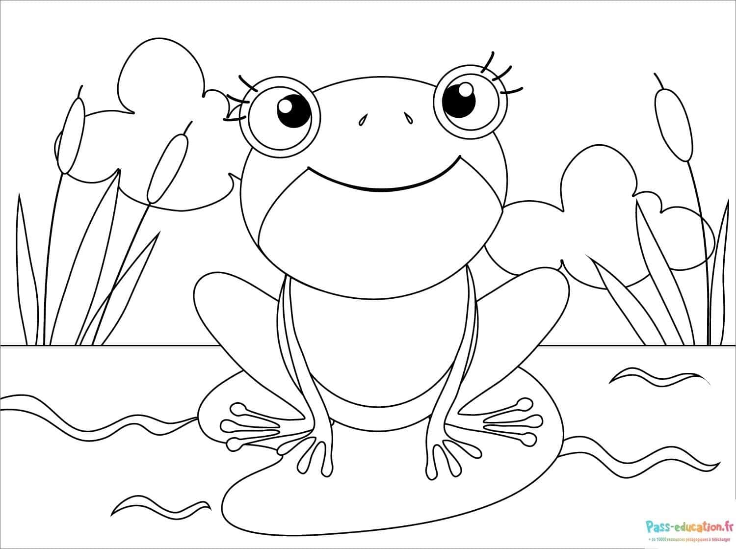 Grenouille souriante