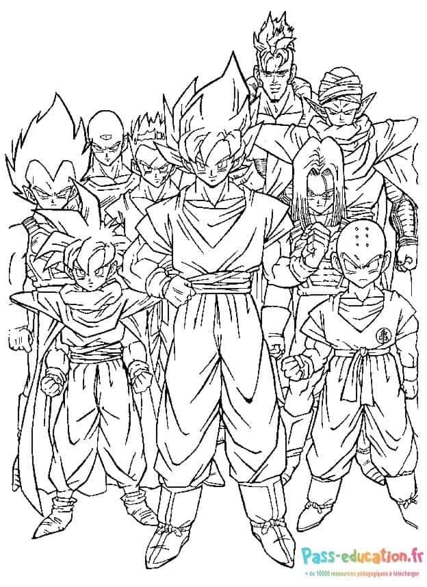 Guerriers Dragon Ball Z