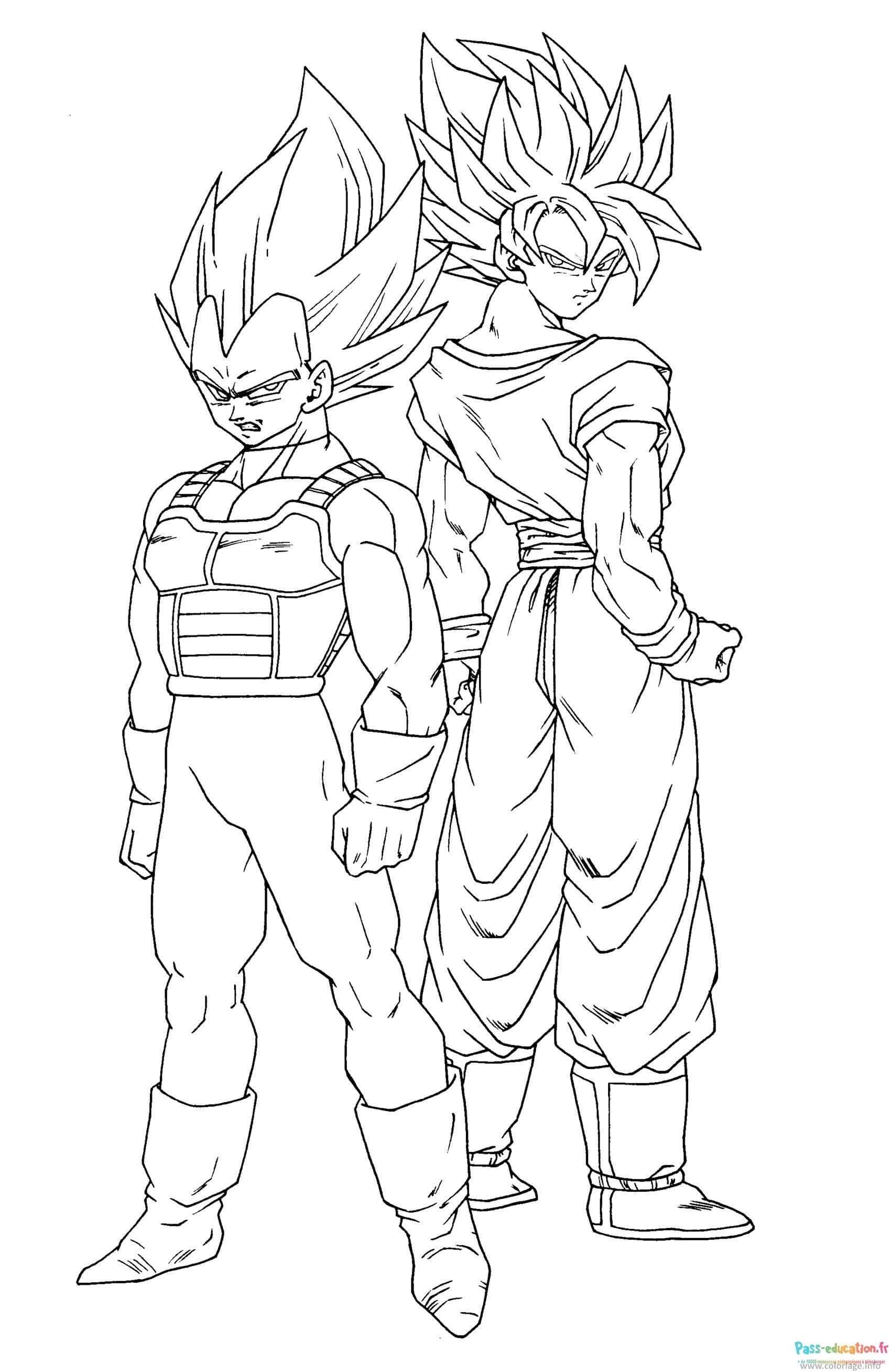 Guerriers Saiyan