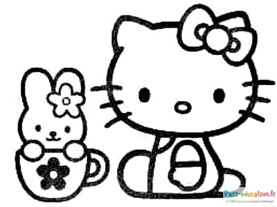 Hello Kitty et ami