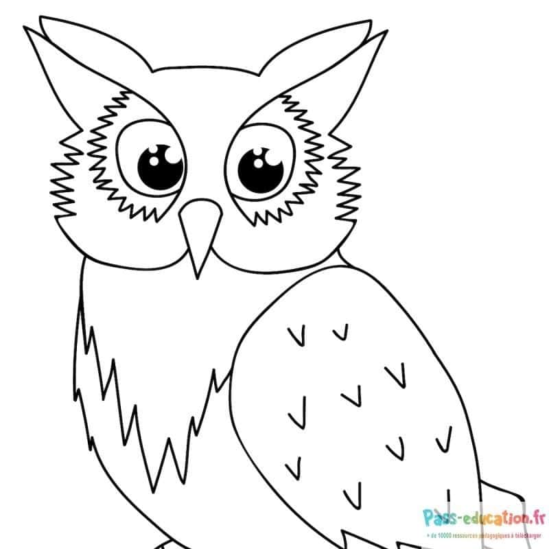 Hibou nocturne