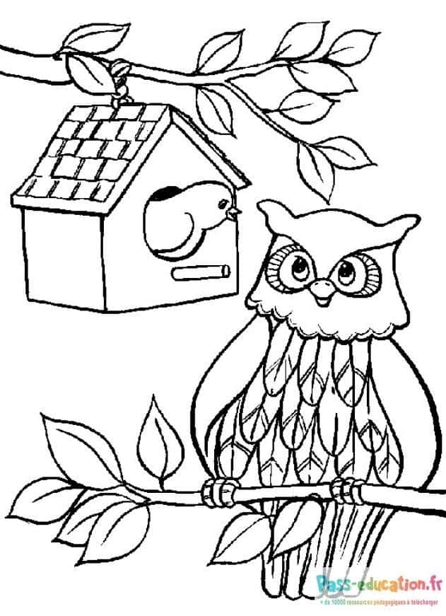 Hibou et maisonnette