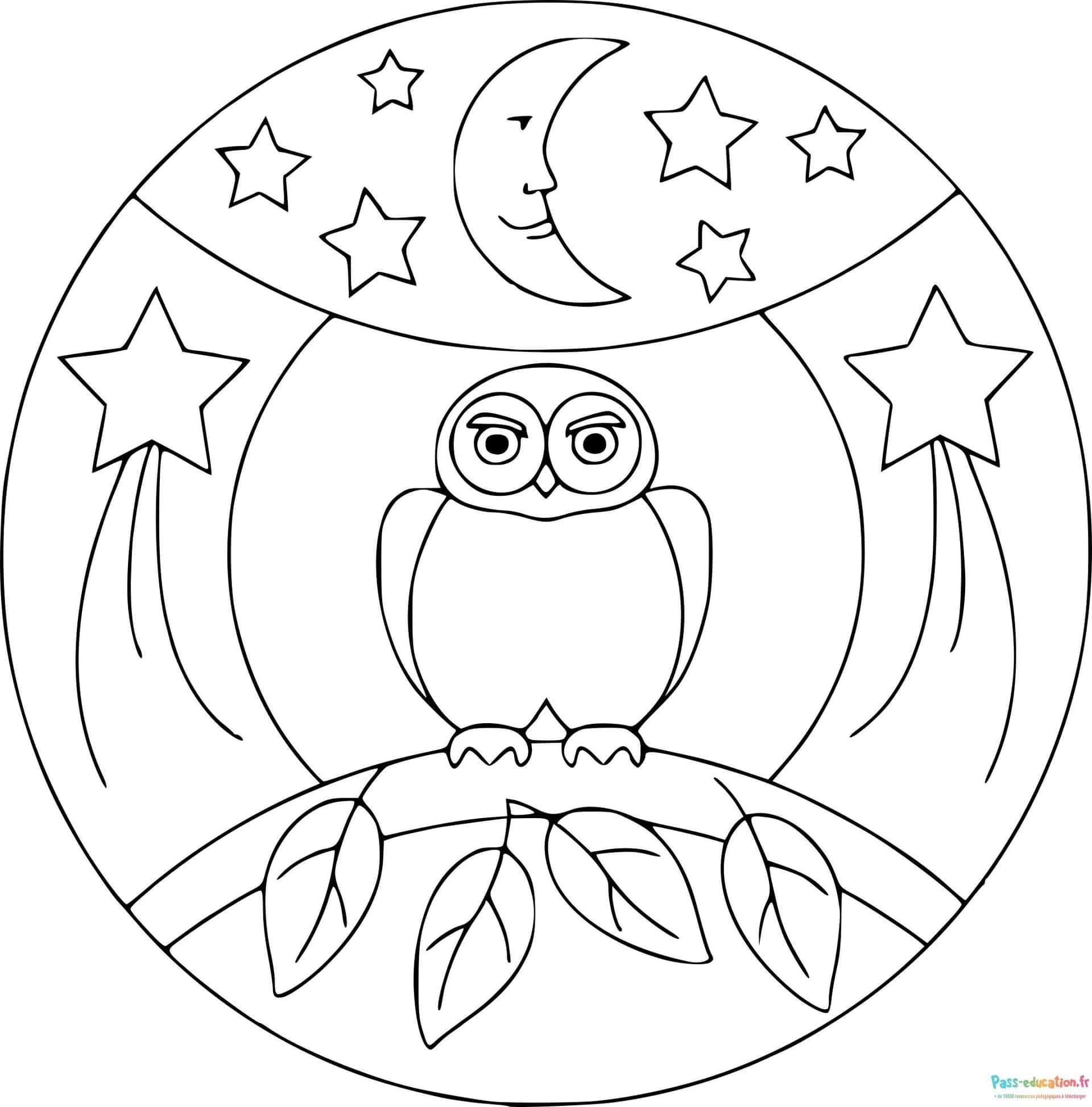 Hibou nocturne