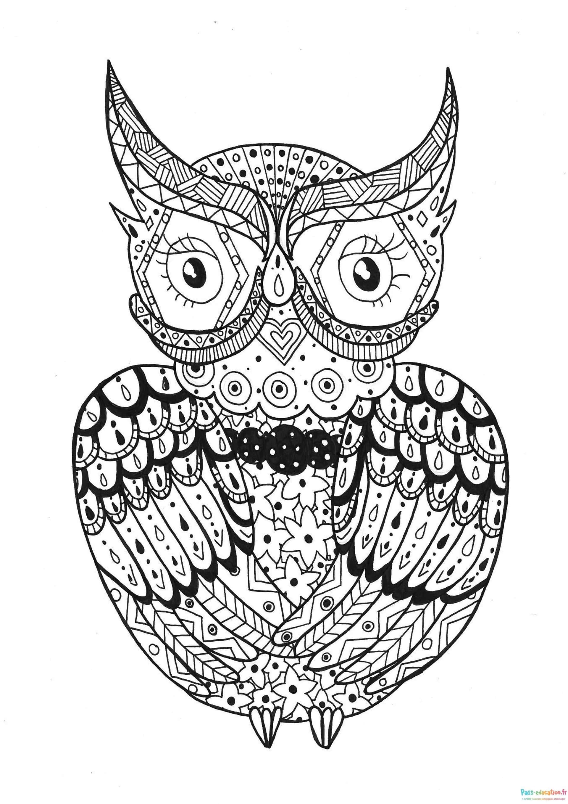 Hibou Mandala